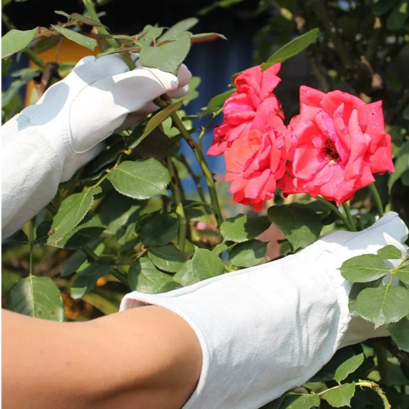 Sepasang Sarung Tangan Kebun A - Gardening Glove Waterproof ulasan dan harga